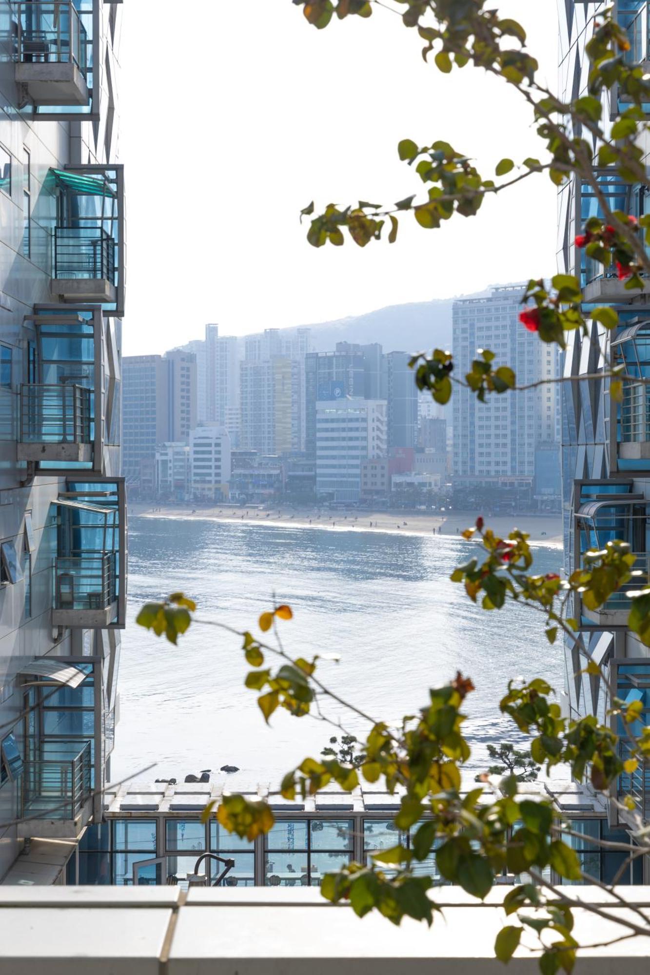 Gwangan View Summer Vacation Busan
